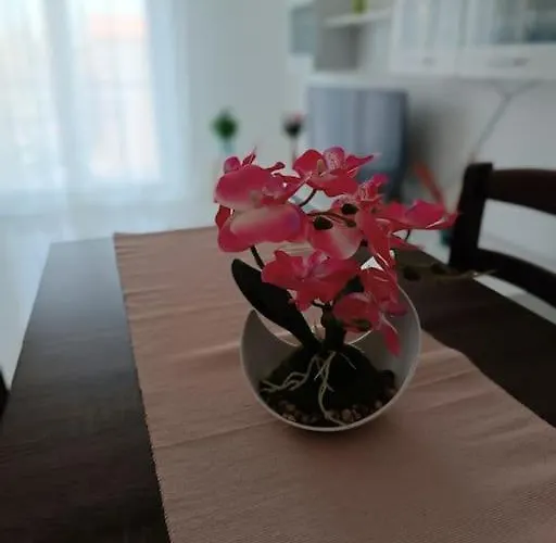 Διαμέρισμα Flori's